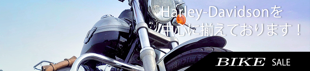 Harley-Davidson𒆐SɑĂ܂I